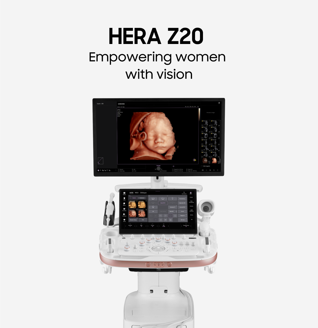 HERA_Z20